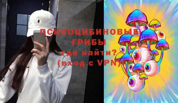 спайс Алексин