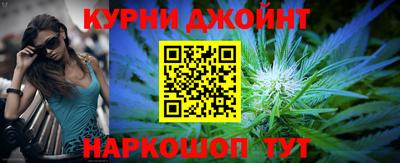 сатива Можайск