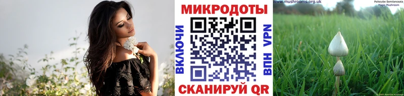 Галлюциногенные грибы мицелий  что такое наркотик  Дмитров 