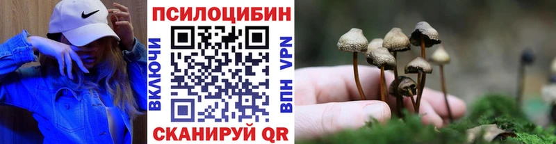 Псилоцибиновые грибы ЛСД Дмитров