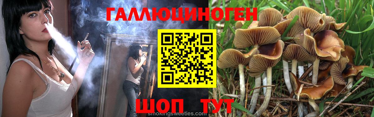 Галлюциногенные грибы Psilocybe  Вход с VPN  Галлюциногенные грибы Psilocybine cubensis  Дмитров 