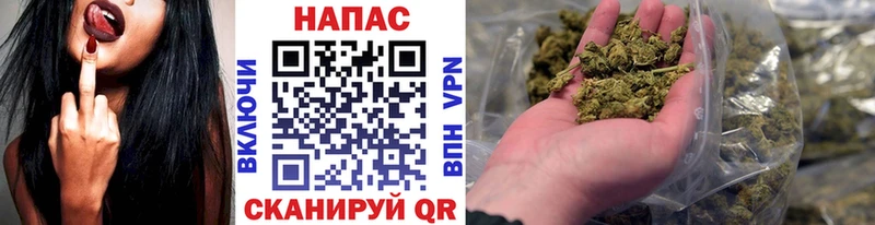 Шишки марихуана семена  магазин  наркотиков  Дмитров 
